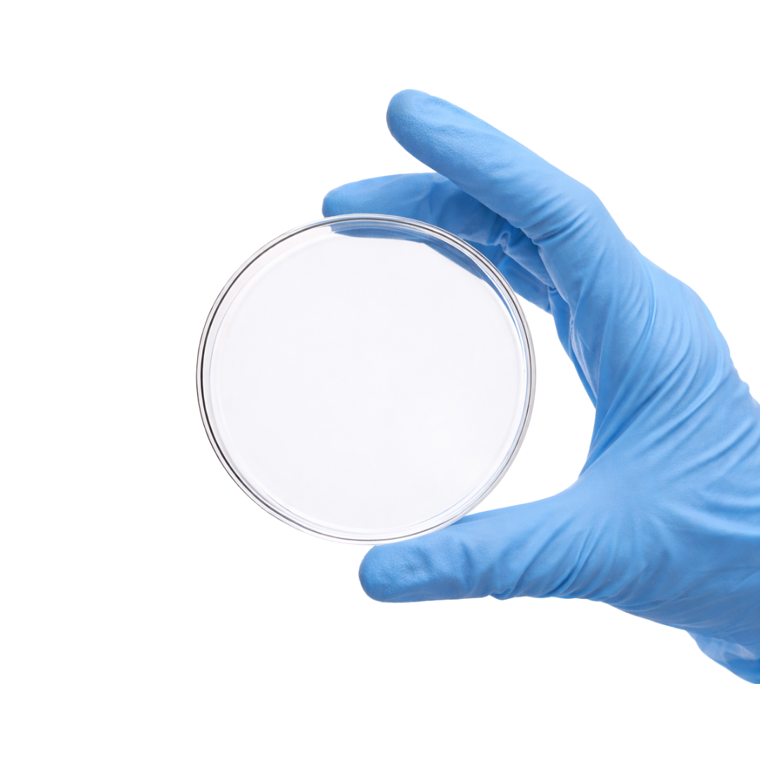 Placa de Petri de Vidre Borosilicat amb Tapa (5 Unitats)